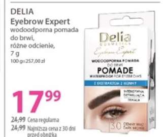 Pomada do brwi Delia Eyebrow Expert