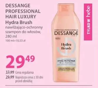 Nawilżająco-ochronny szampon do włosów Hydra Brush Dessange Professional Hair Luxury